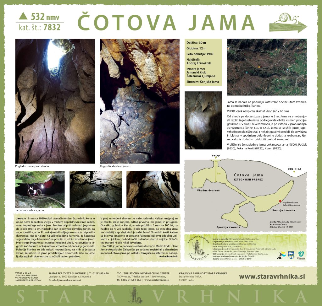 stara vrhnika cotova jama