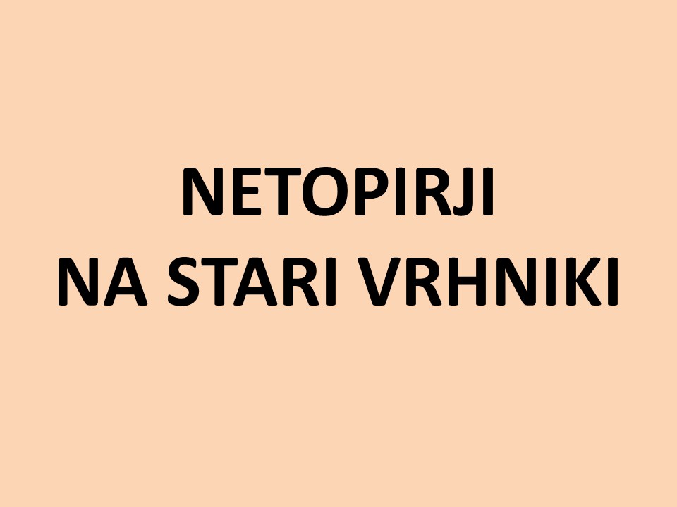 diapozitiv175