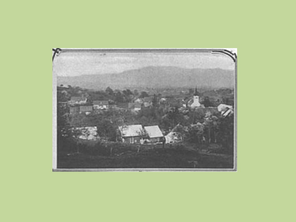 diapozitiv243