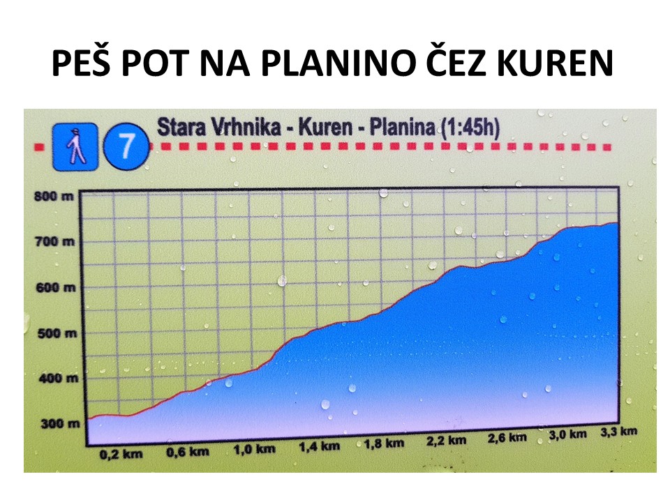 diapozitiv162