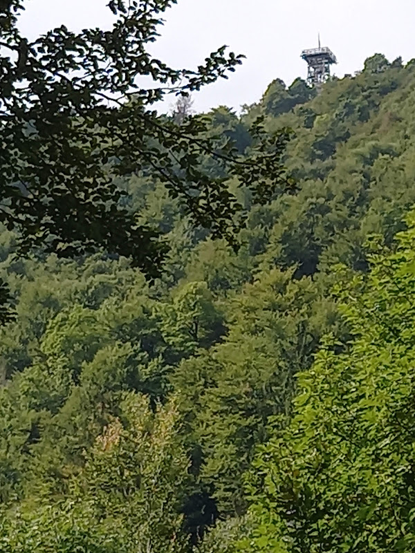 20210919 111932