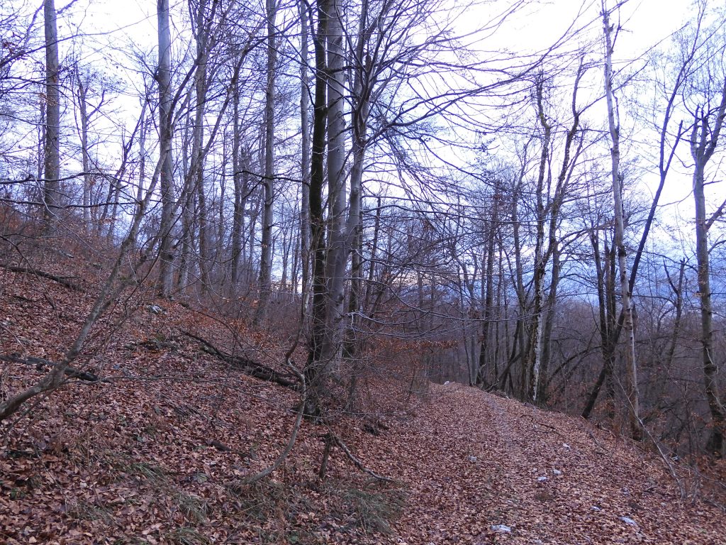 dscn0356