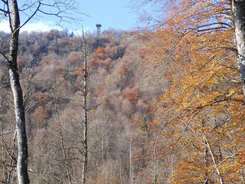 dscn1155