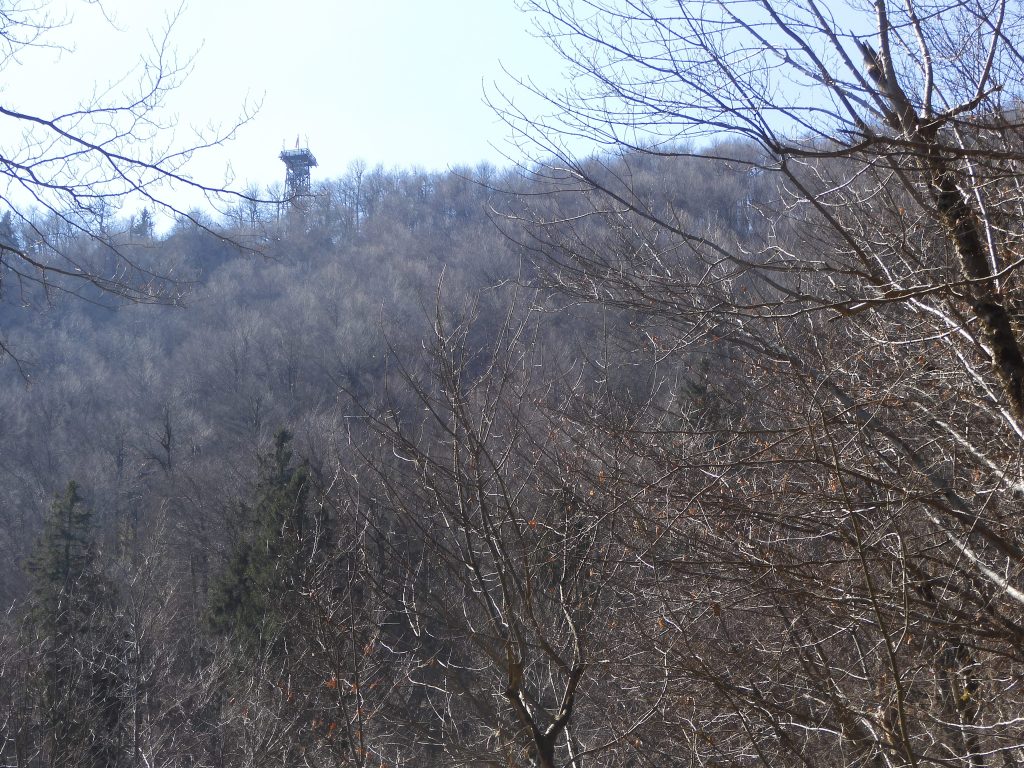 dscn0009