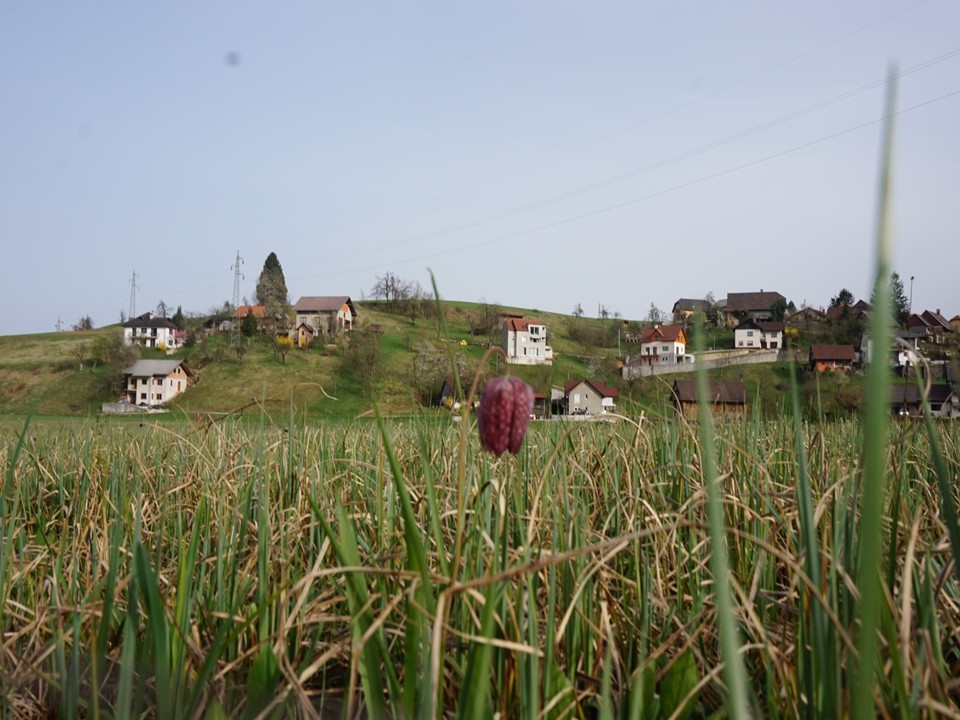 diapozitiv189