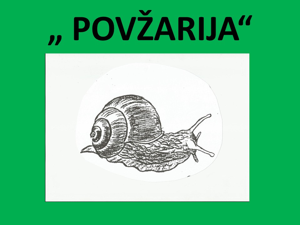 diapozitiv2