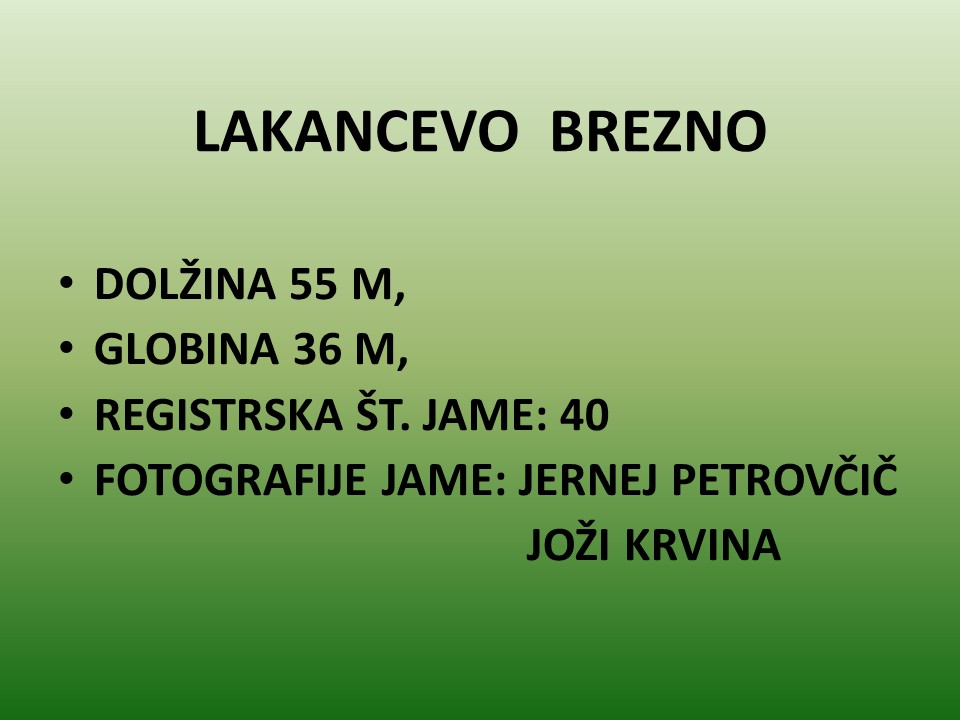 diapozitiv147