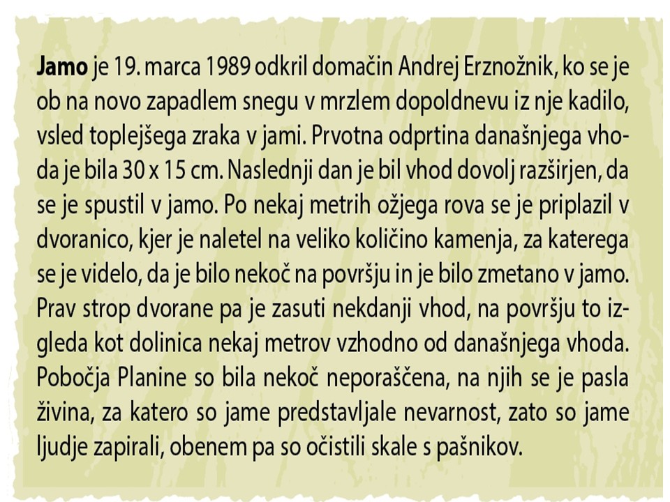 diapozitiv161