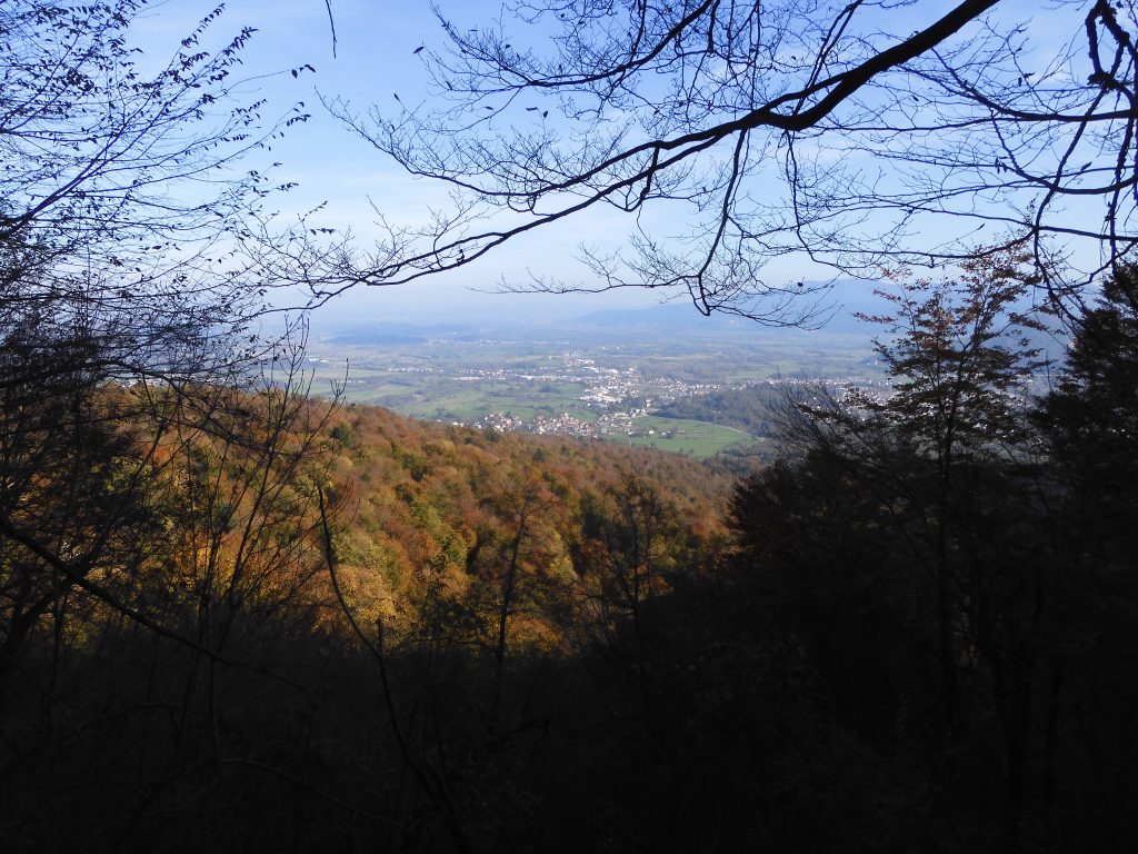 dscn0006
