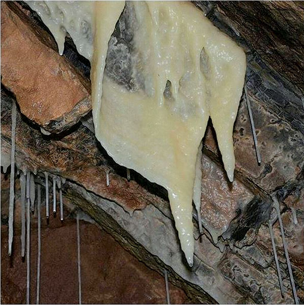 buŽa boris majcen f4