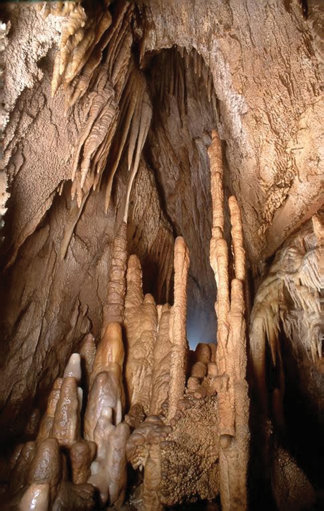 feranova buža rjava peter gedei 2016