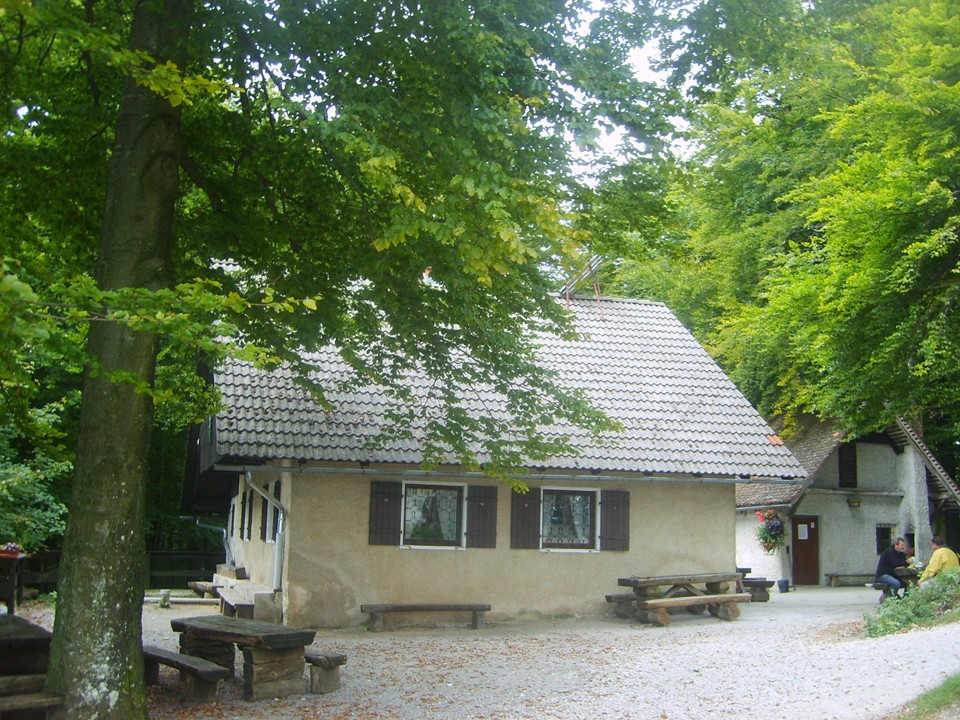 diapozitiv150