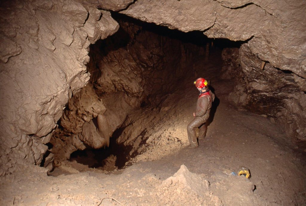 128551875 10219017068998496 1491760530974394219 o