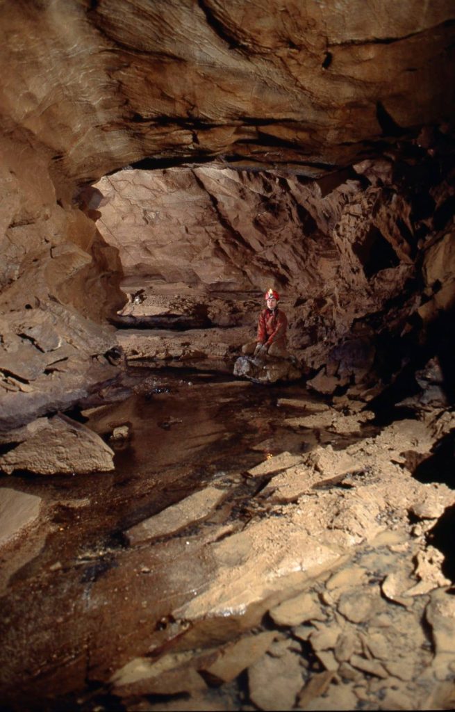 128959273 10219017066158425 5833582687990516005 o