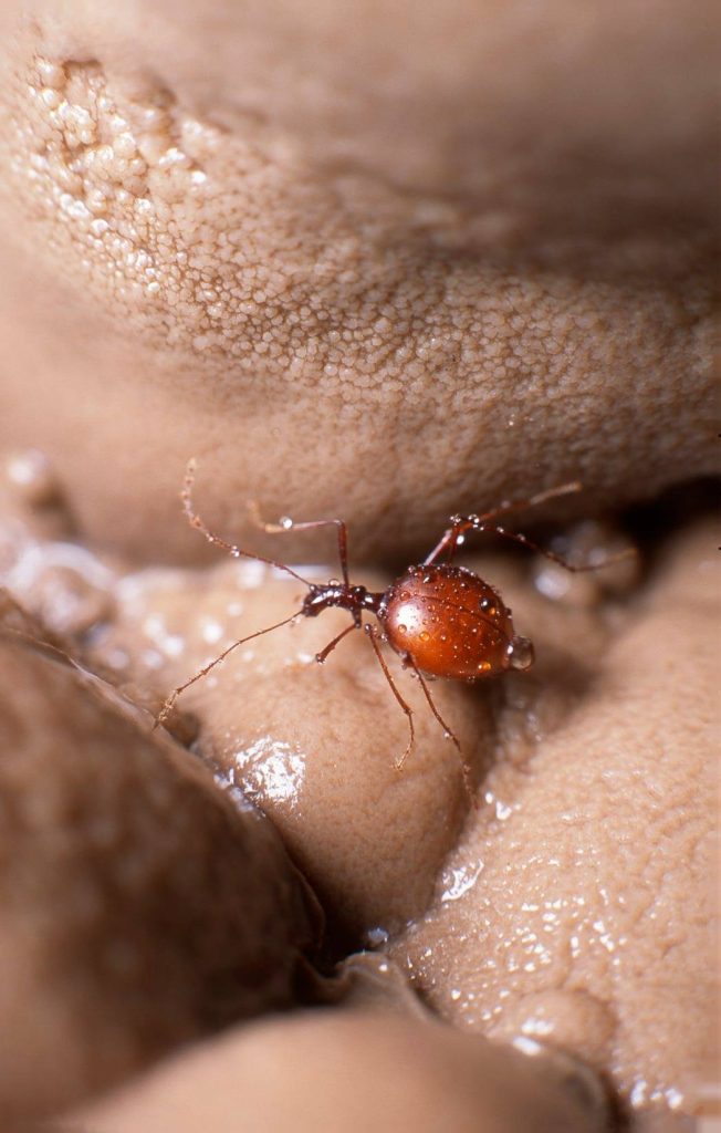 128998167 10219017057918219 5699244623678083037 o