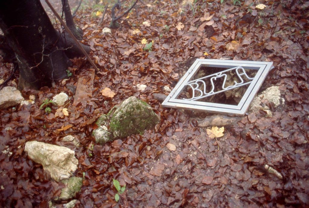 128878428 10219017056838192 4390161281162992412 o