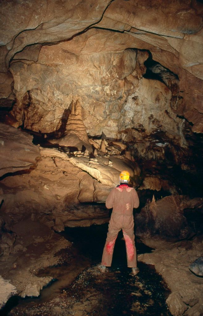 128898696 10219017066438432 6823348070596314191 o