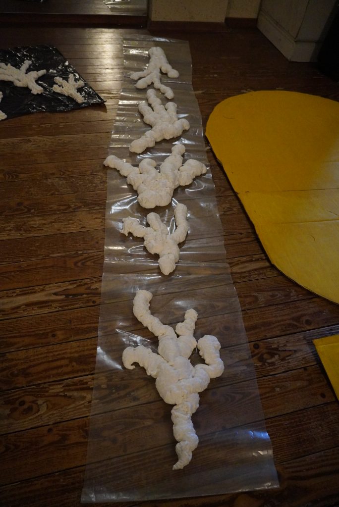 22 in 23 feb 2025 (45)