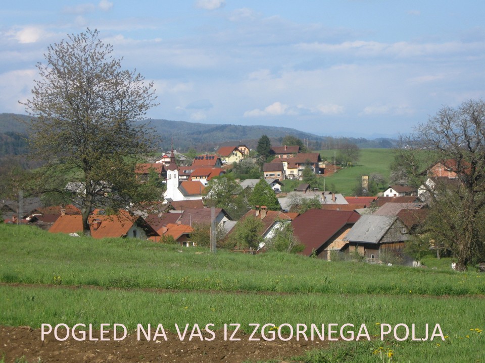 diapozitiv21