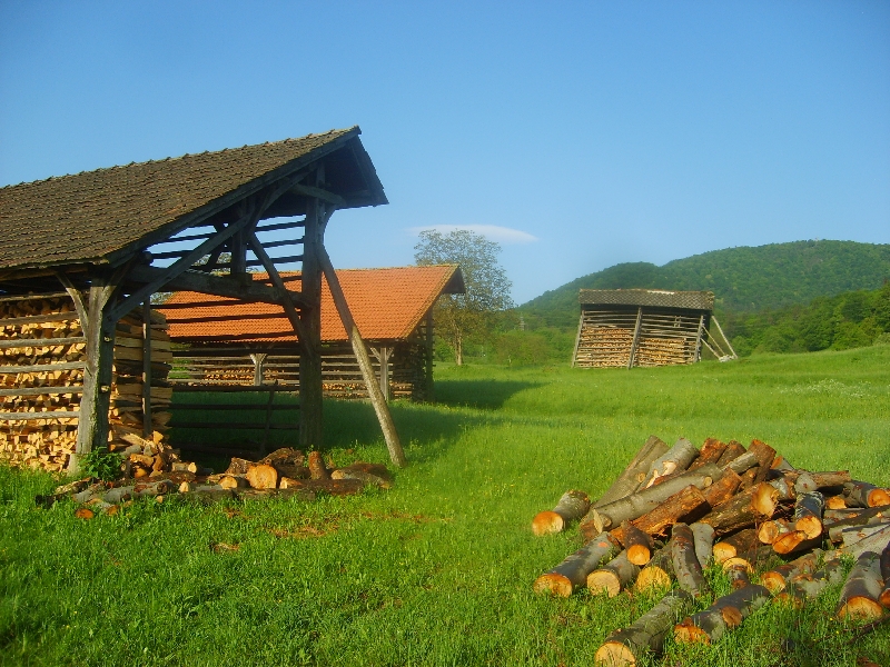 kozolci09002