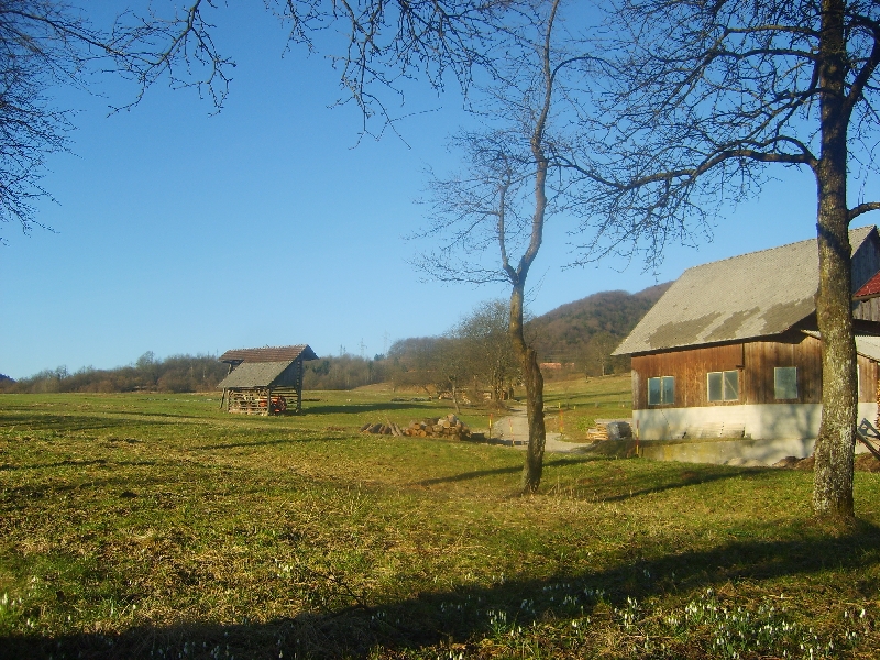 kozolci09012