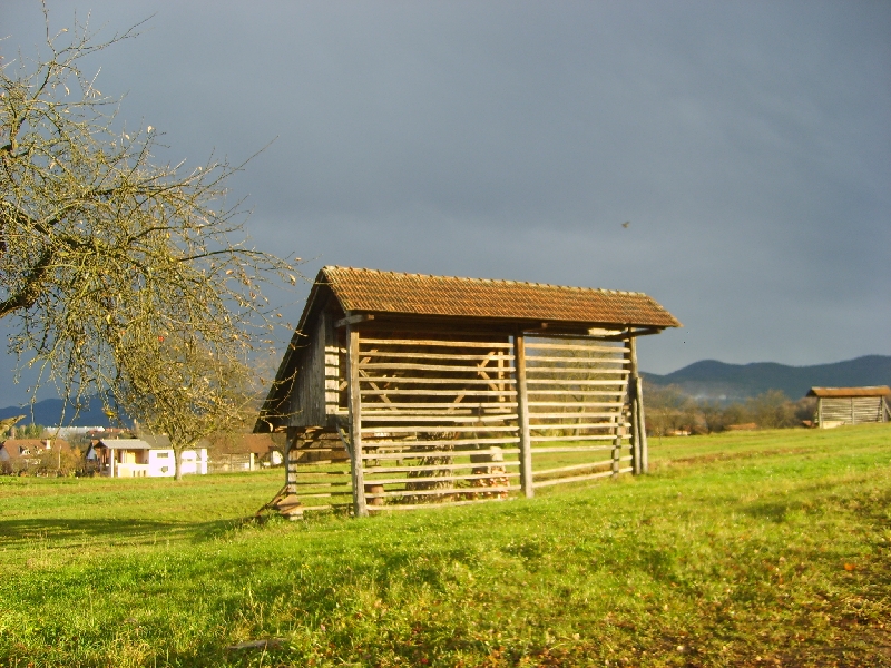 kozolci09010