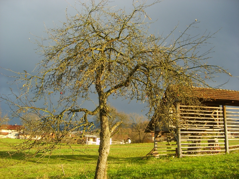 kozolci09011