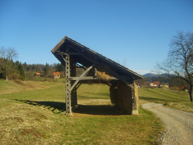 kozolci09035