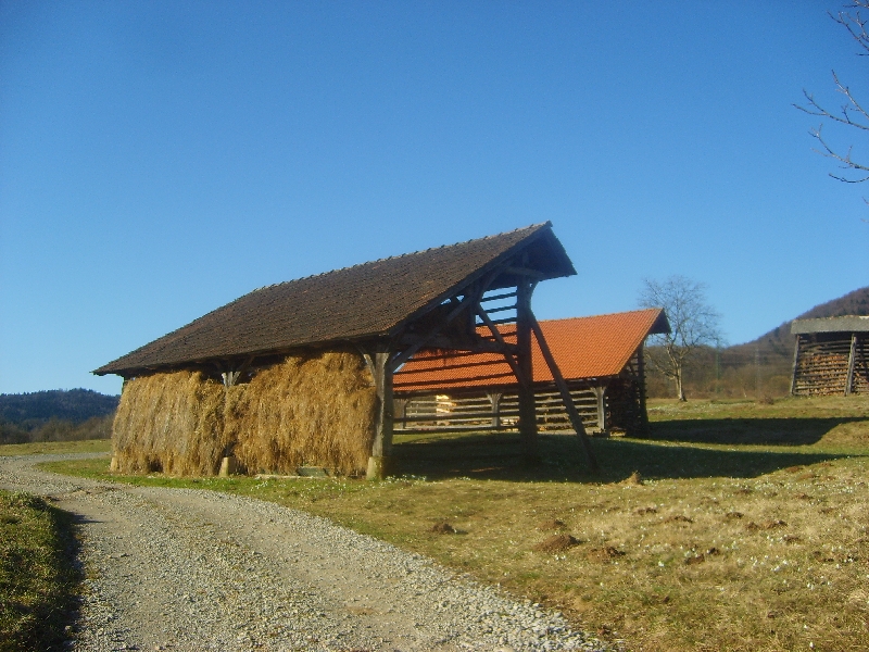 kozolci09042
