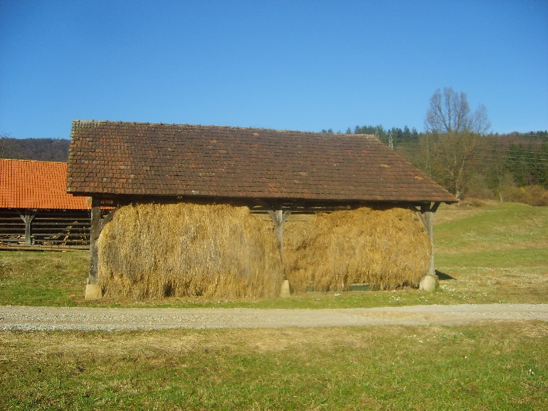 kozolci09038