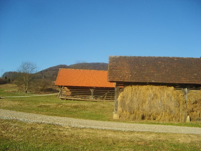 kozolci09039