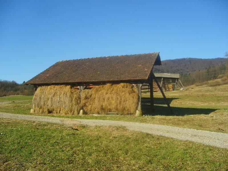 kozolci09040