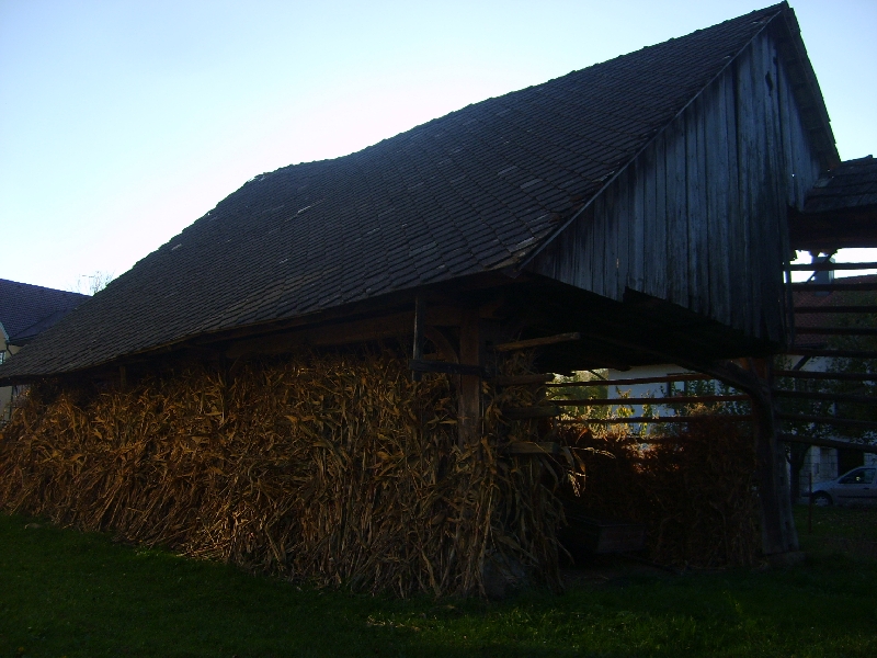 kozolci09074