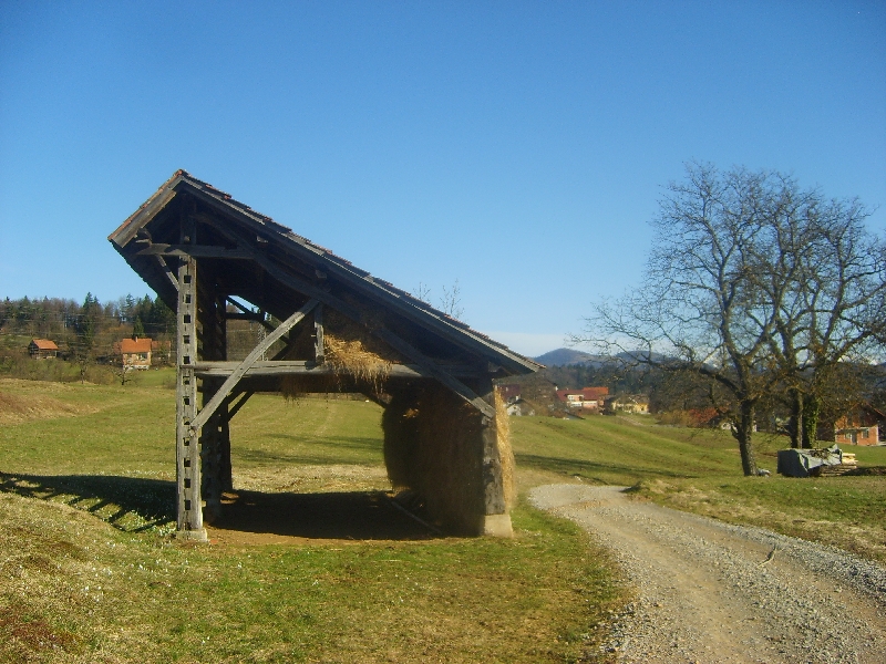 kozolci09036