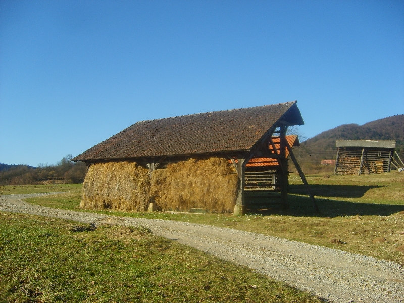 kozolci09041