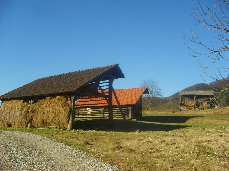 kozolci09043