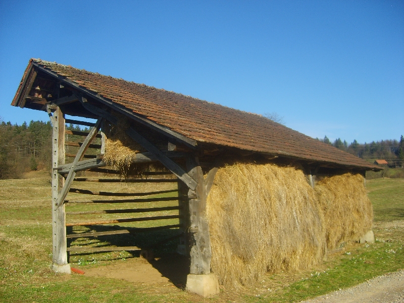 kozolci09037