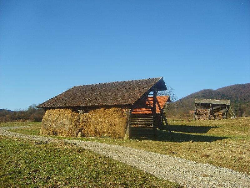 kozolci09044
