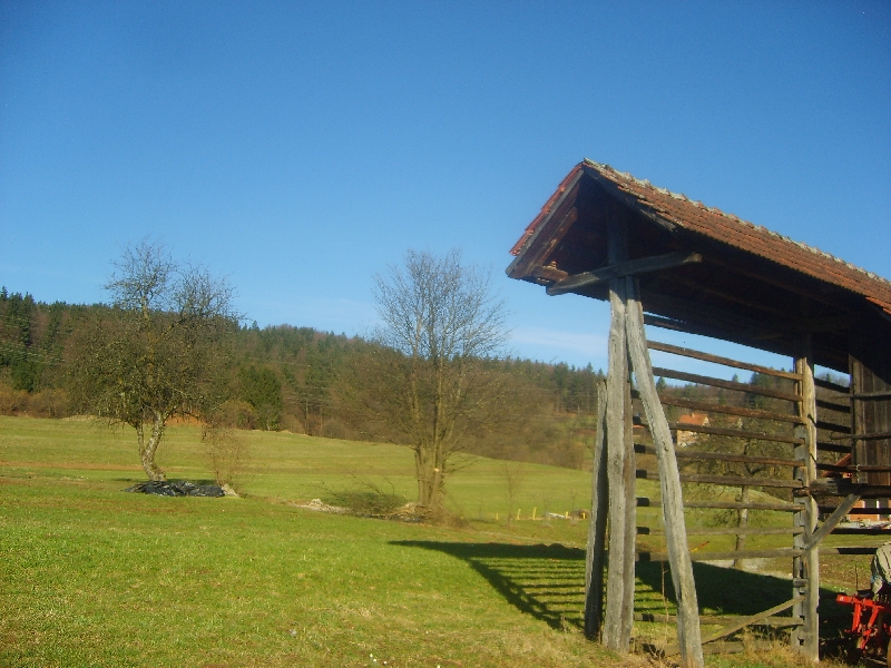 kozolci09046