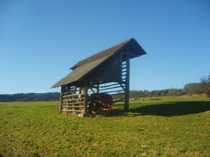 kozolci09052