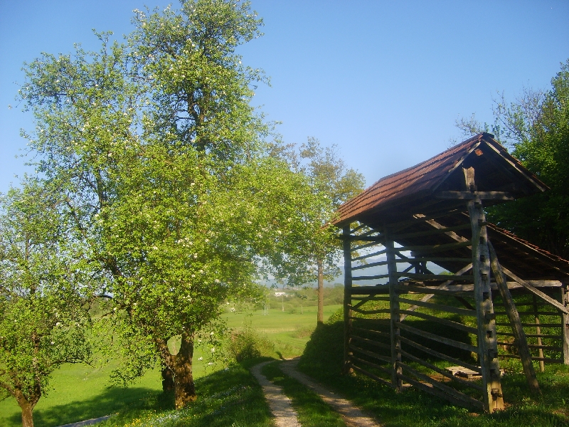 kozolci09146