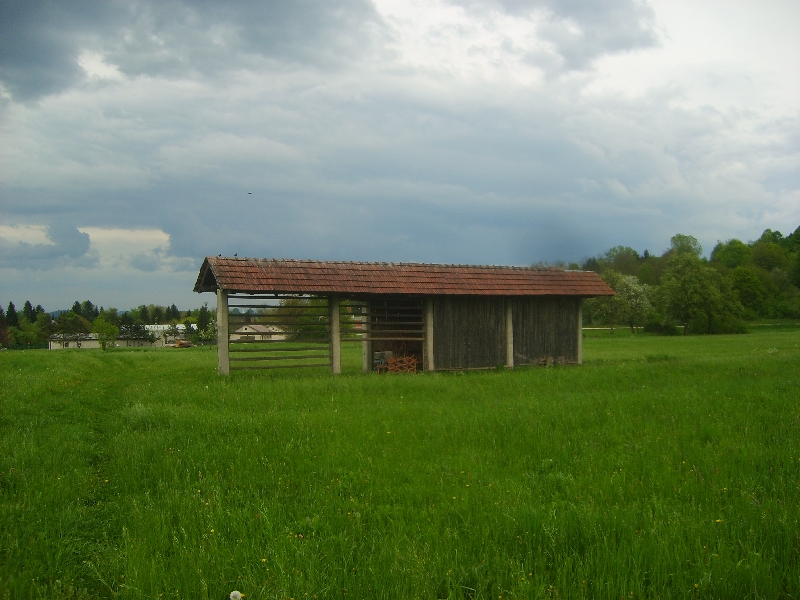 kozolci09123