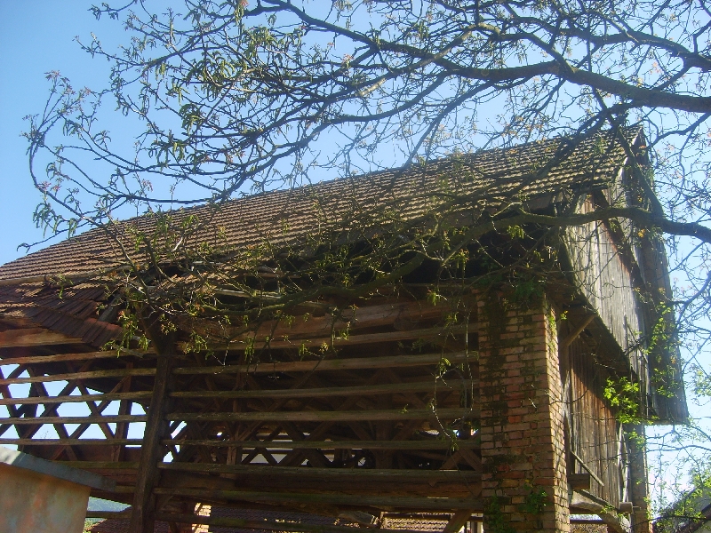kozolci09164
