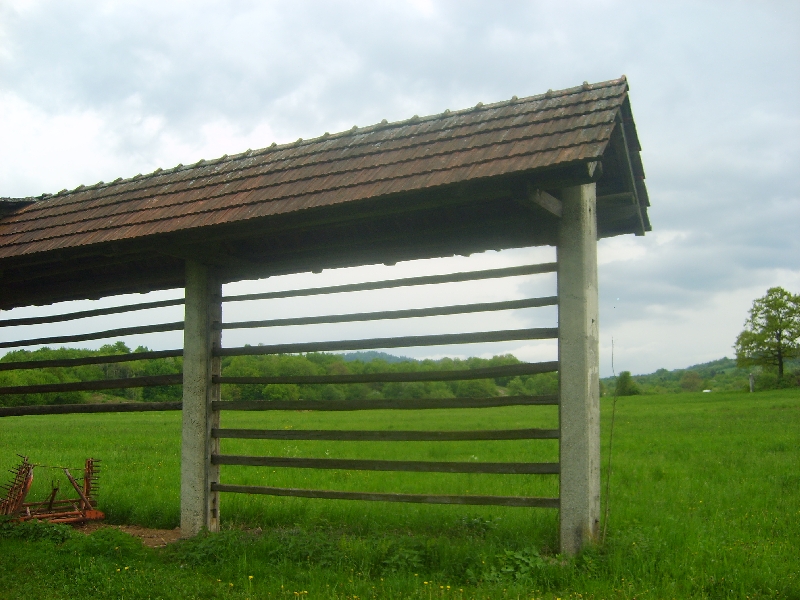 kozolci09124
