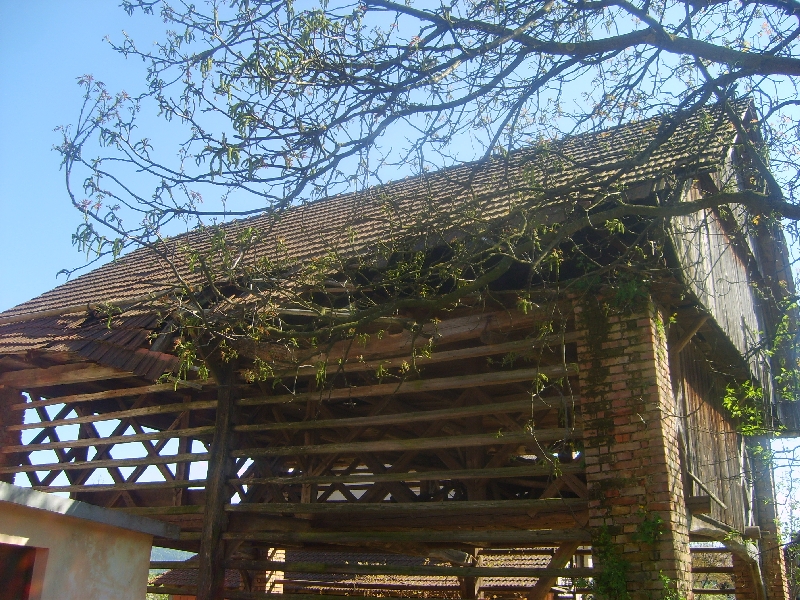 kozolci09163