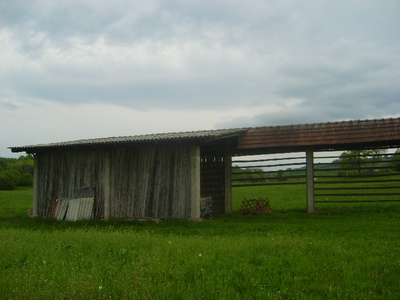 kozolci09125