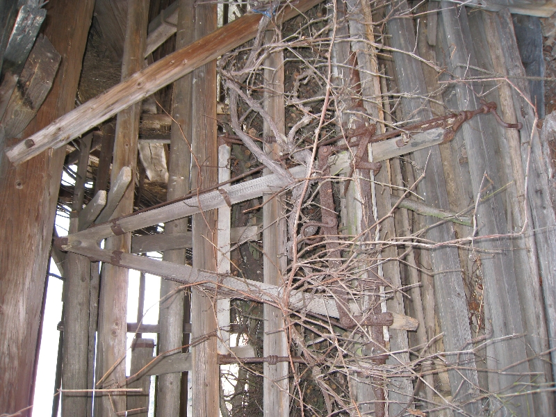 kozolci09255