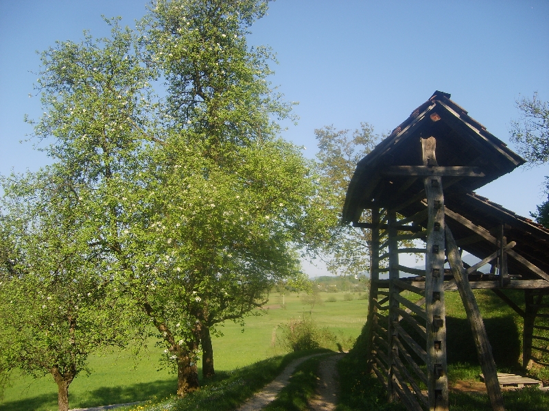 kozolci09144