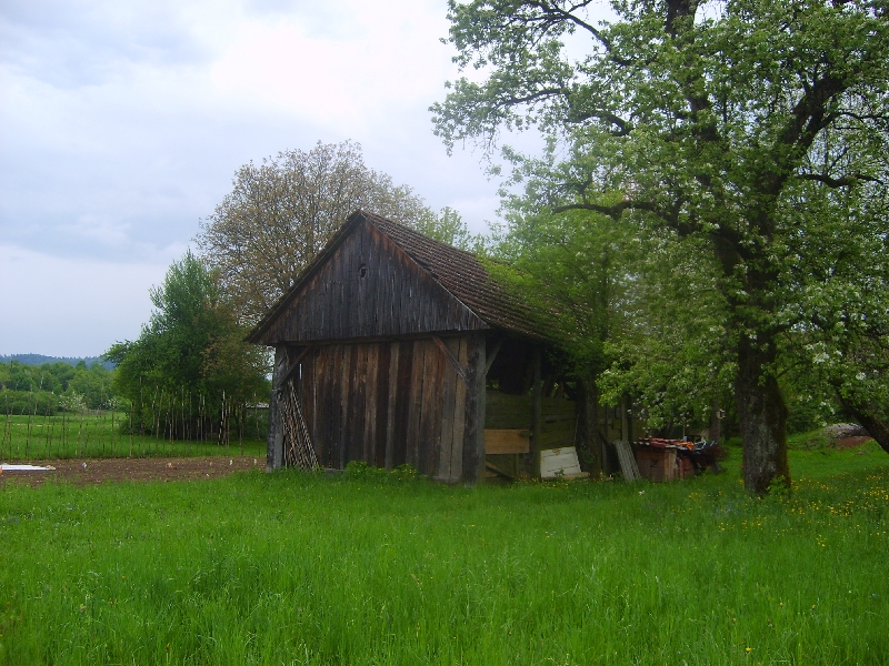 kozolci09205