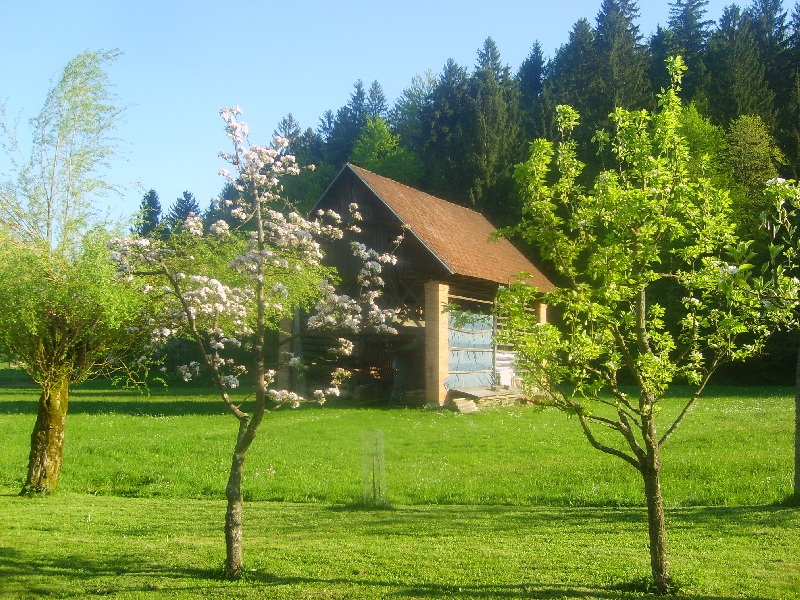 kozolci09323